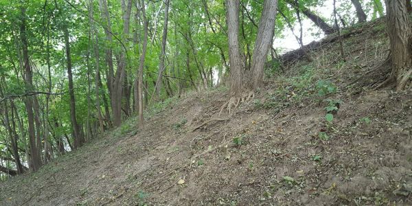 More-Hillside-Finds-In-Wisconsin
